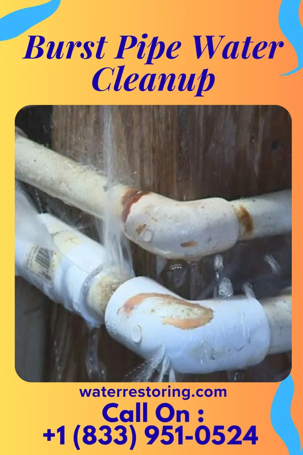 Burst Pipe Water Cleanup in Decatur, MI