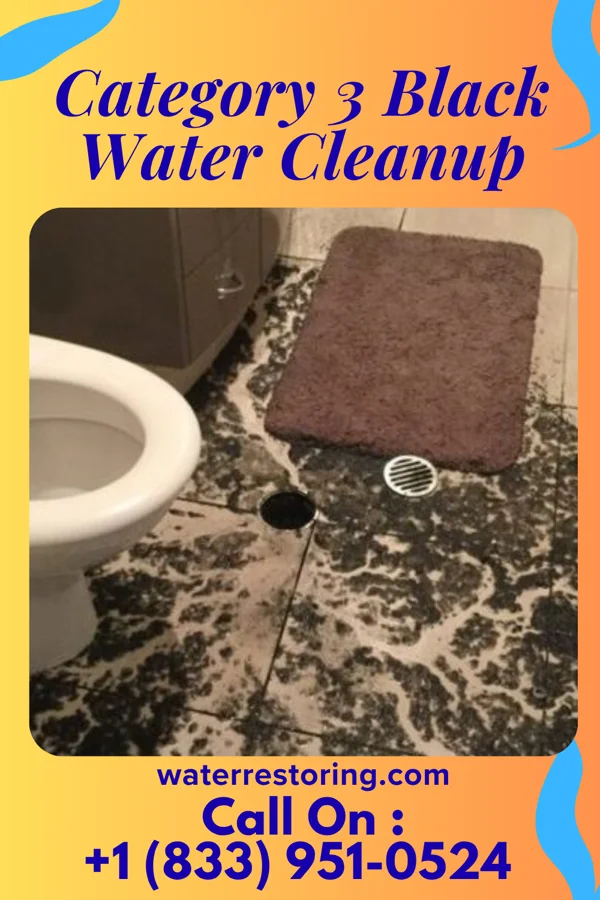 Category 3 Black Water Cleanup in Decatur, MI