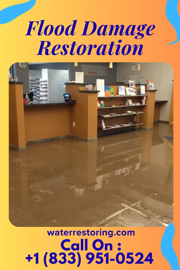 Flood Damage Restoration in Decatur, MI
