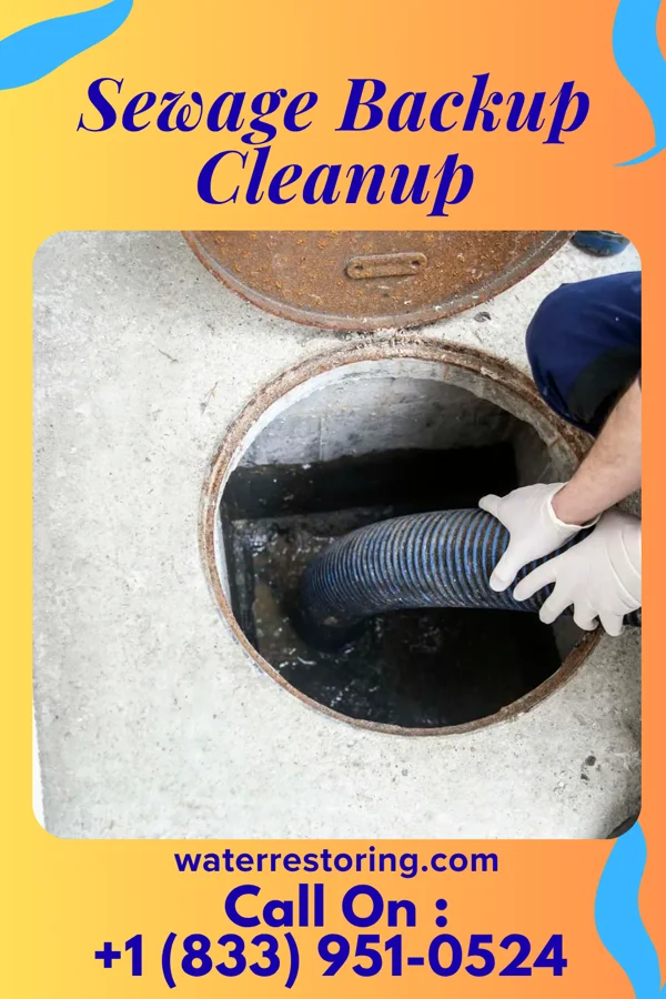 Sewage Backup Cleanup in Decatur, MI